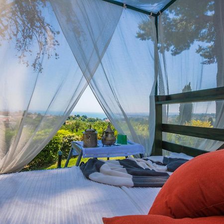 Bed and Breakfast Tra Gli Alberi E Il Mare Sirolo Zewnętrze zdjęcie