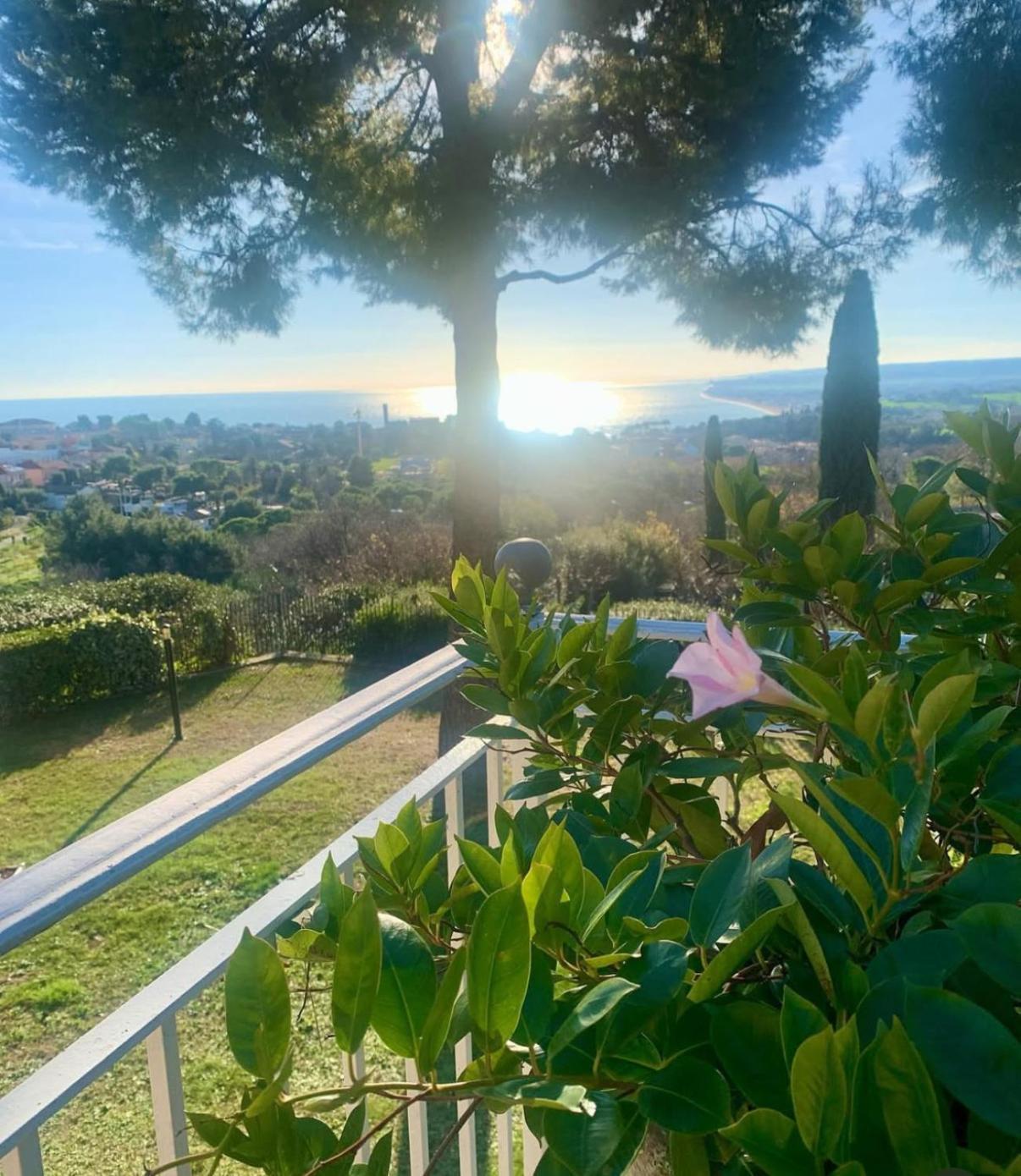 Bed and Breakfast Tra Gli Alberi E Il Mare Sirolo Zewnętrze zdjęcie