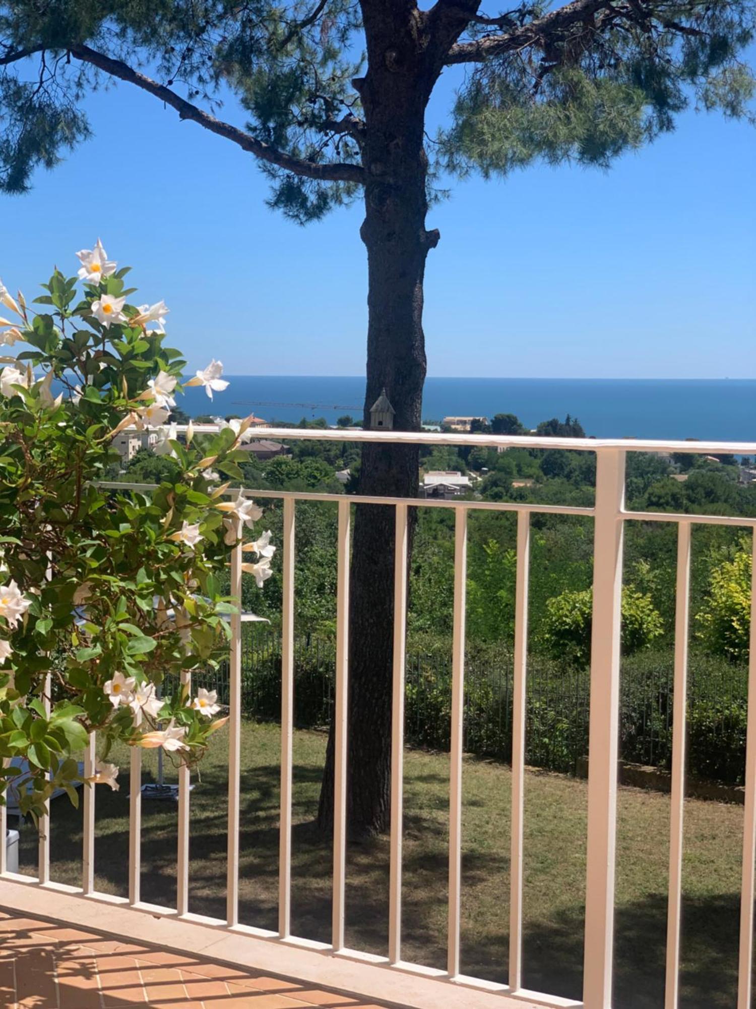 Bed and Breakfast Tra Gli Alberi E Il Mare Sirolo Zewnętrze zdjęcie
