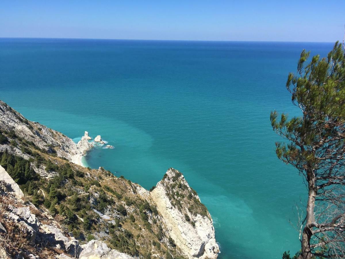 Bed and Breakfast Tra Gli Alberi E Il Mare Sirolo Zewnętrze zdjęcie
