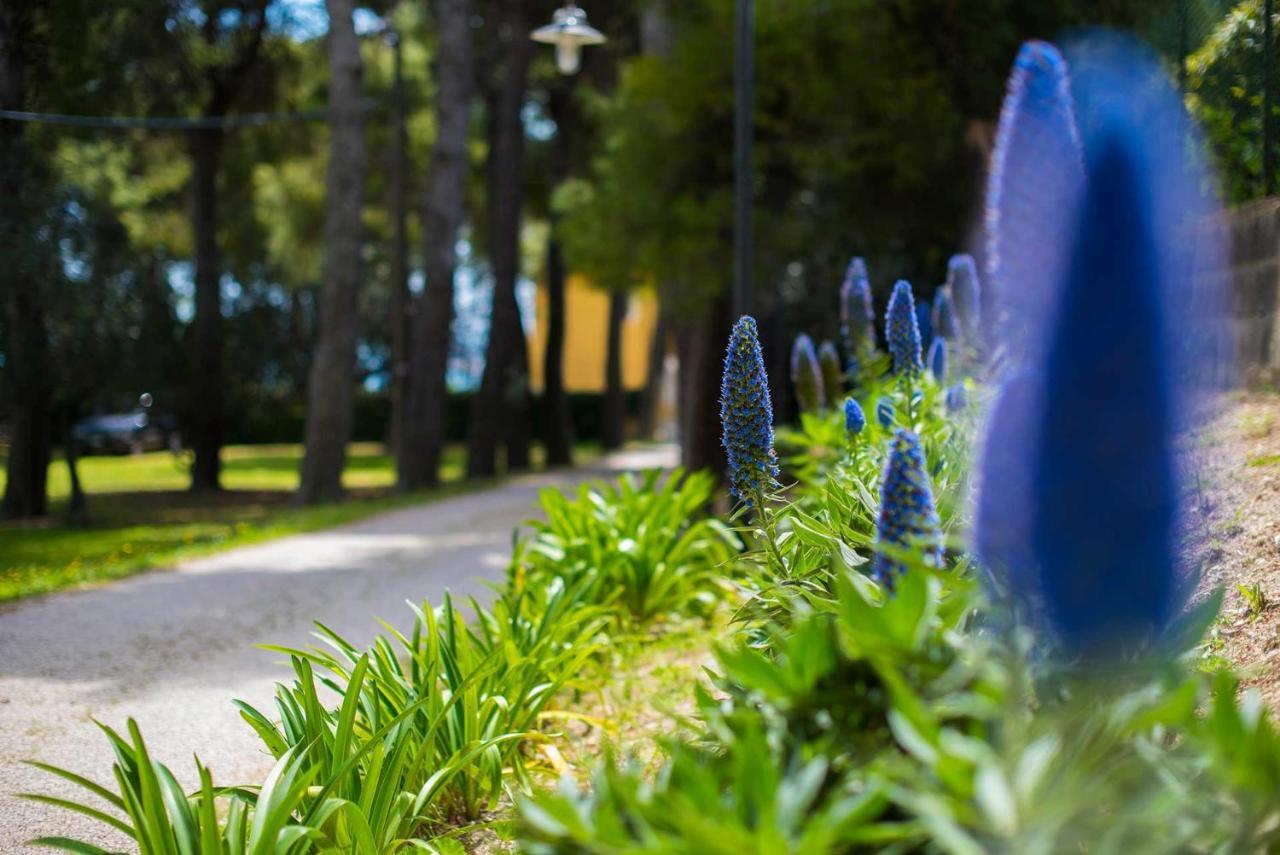 Bed and Breakfast Tra Gli Alberi E Il Mare Sirolo Zewnętrze zdjęcie